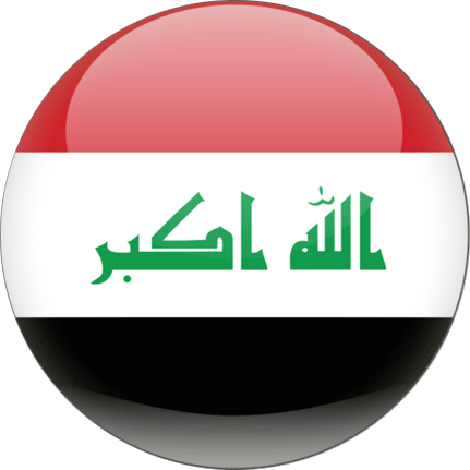 Automobile dealer management software