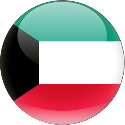 Automobile dealer management software