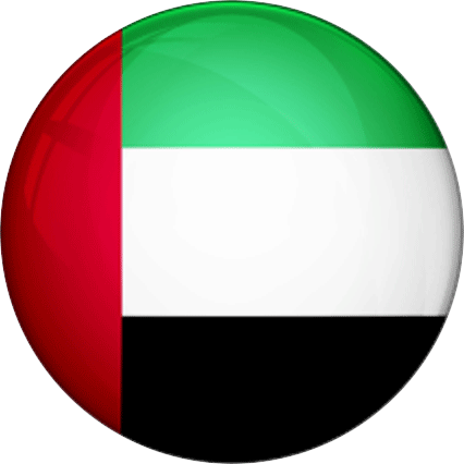 Automobile dealer management software